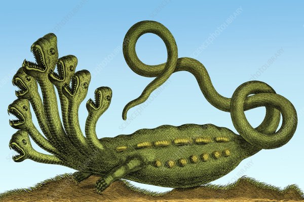 Kraken рынок