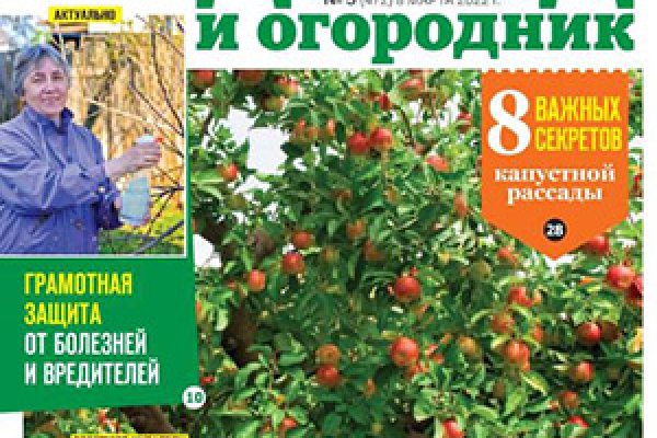 Запрещенный сайт кракен