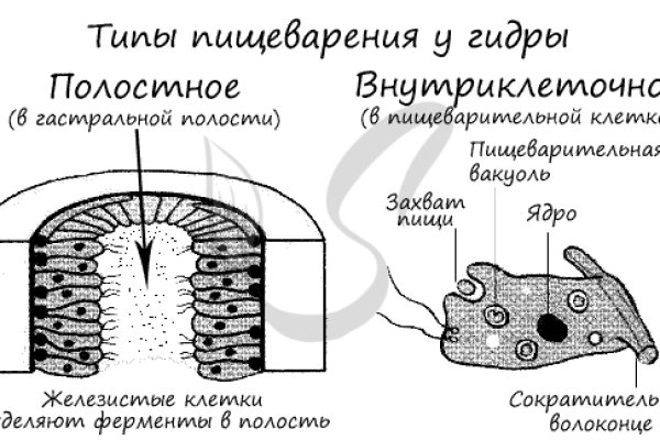 Кракен современный даркнет маркетплейс