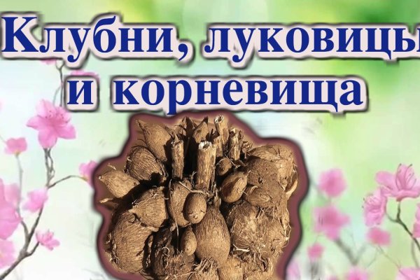 Как восстановить аккаунт в кракен