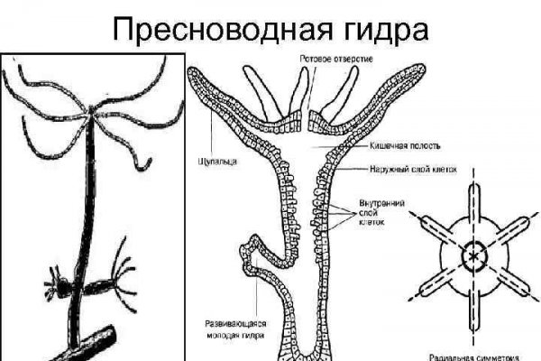 Даркнет маркет кракен onion
