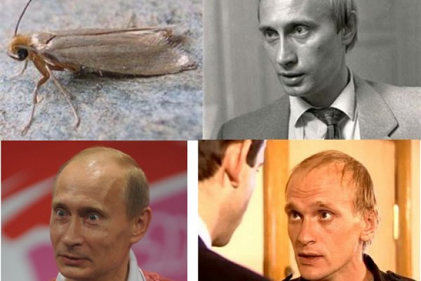 Кракен офф сайт