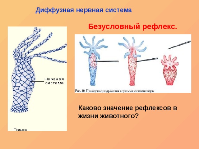 Мега зеркала тор онион мориарти кракен