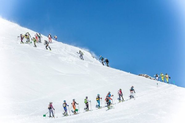 Ссылки на кракен маркетплейс