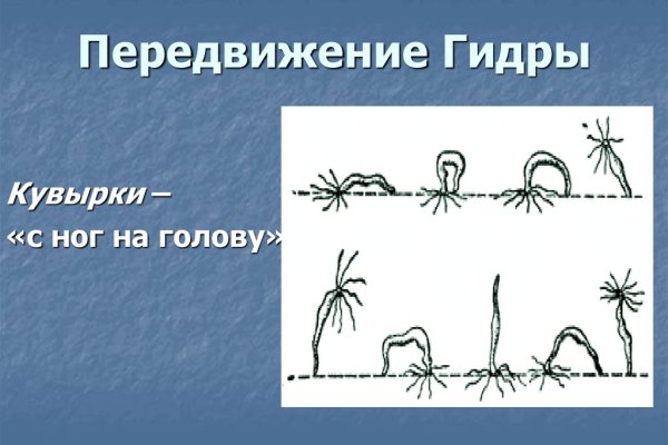 Замена гидры