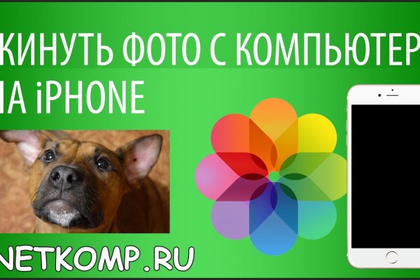 Кракен как войти через тор