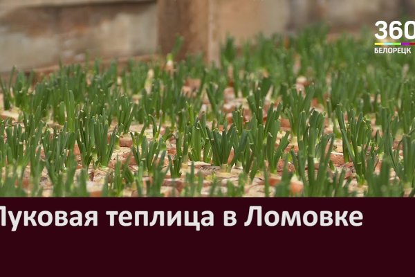 Зайти кракен через тор