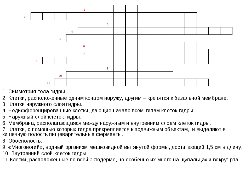Кракен маркет тор