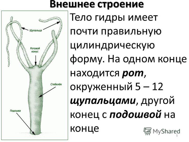 Кракен ссылка зайти